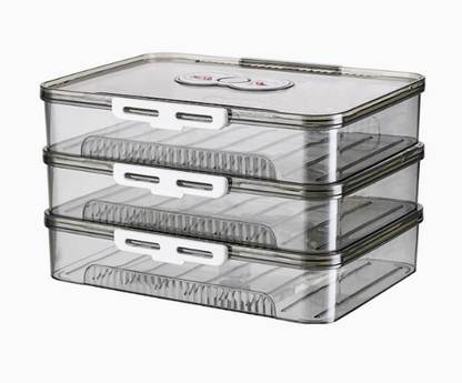 Transparent Dumpling Storage Box