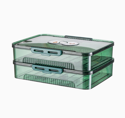 Transparent Dumpling Storage Box